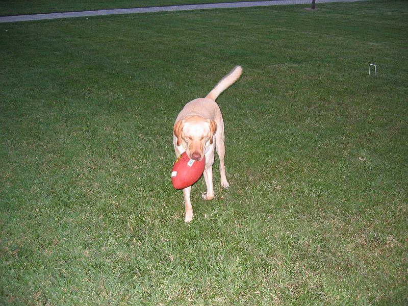 Picture 008